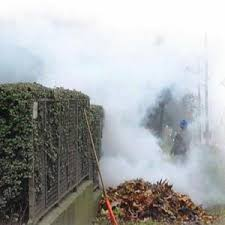 Zöldhulladék égetés rendje