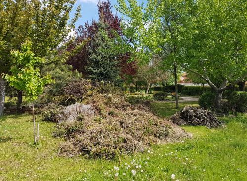 Parkrendezési munkák a Szegfű utcánál