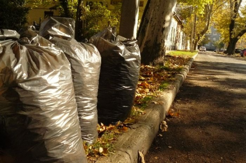 Zöldhulladék szállítási időpontok