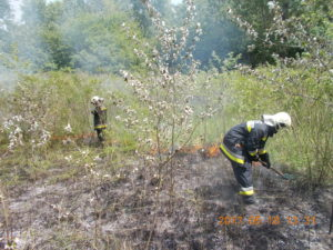 Szándékos gyújtogatás a Duna-parton